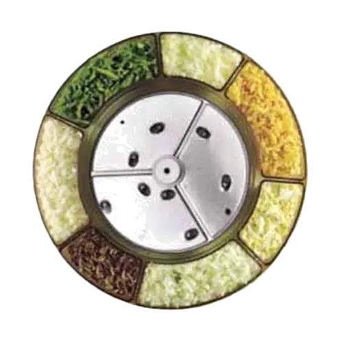 Robot Coupe Grating disc,