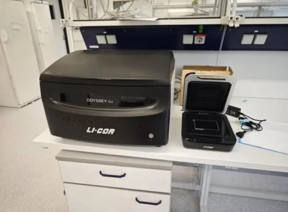 Used LI-COR ODYSSEY CLX Imaging Systems / Molecular Imagers New Jersey US | Bionex Scientific LLC #800616