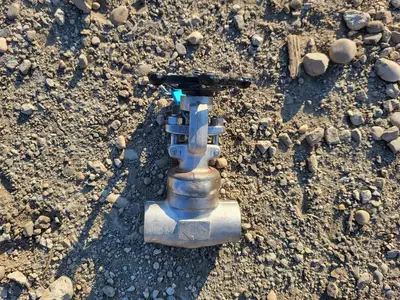 3/4" Class 800 Gate Valve API 602