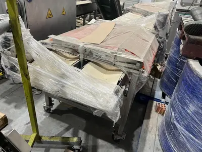 Berry Sizing Conveyor