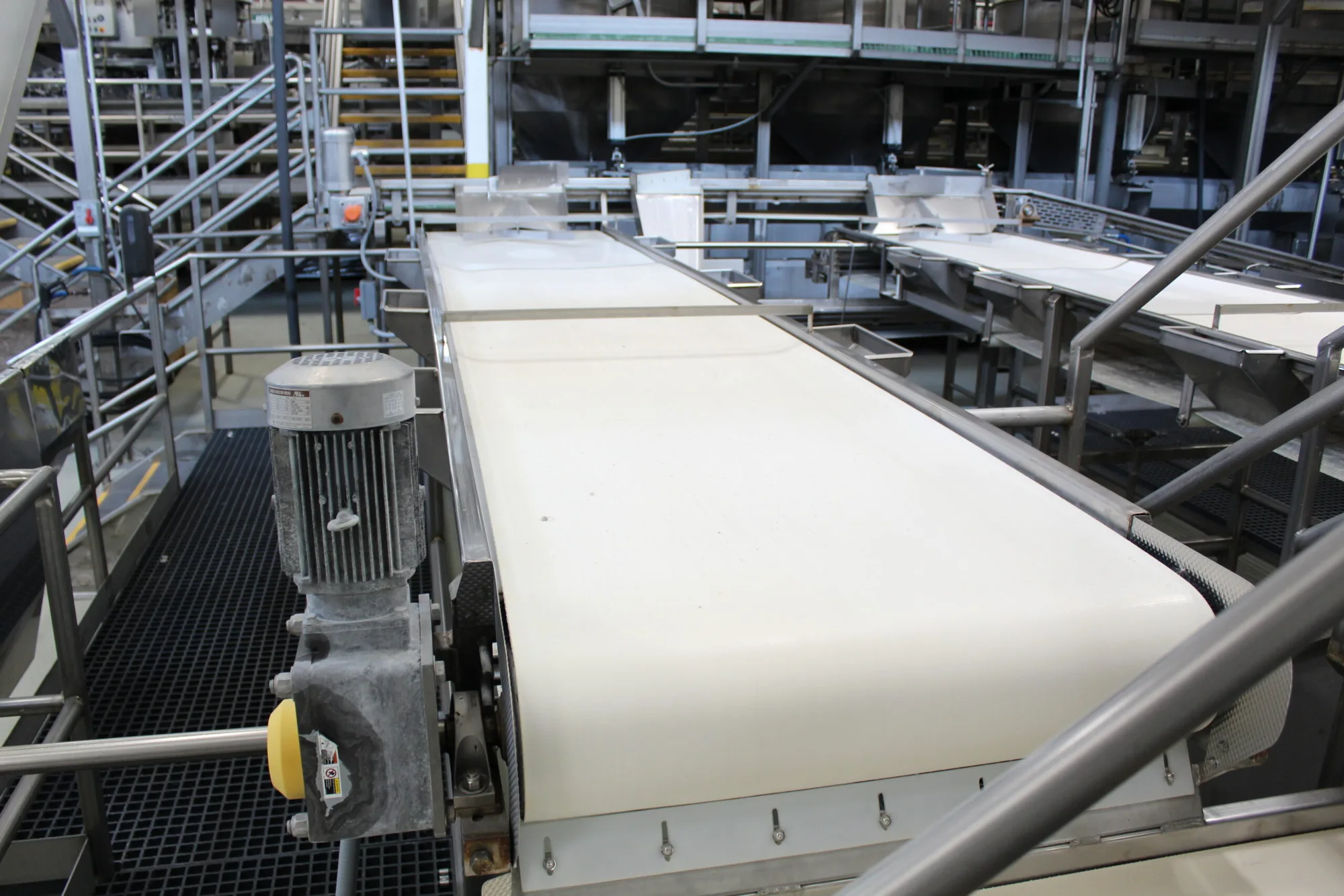 Belt Sorting Conveyor 1