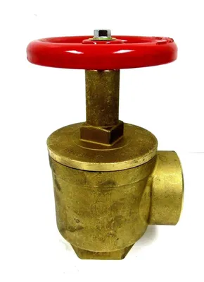 NEW GIACOMIMI A55 ANGLE HOSE VALVE FEMALE TO FEMALE 2-1/2" x 2-1/2"