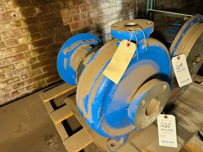 USED GOULD 3196