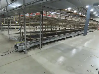 Automotion 15"x 66' Belt Drive Live Roller Bed Conveyor 460V End Drive 95FPM