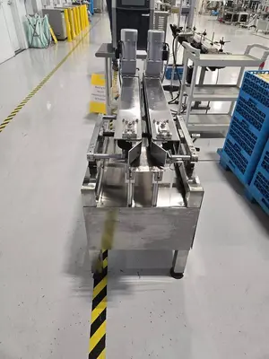 Packing Machinery Stainless Transfer conveyors - 3 available
