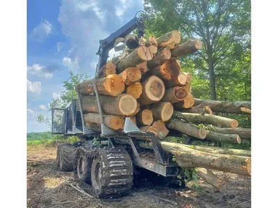 TIMBERPRO TF830B FORWARDER | Iron Listing (3)
