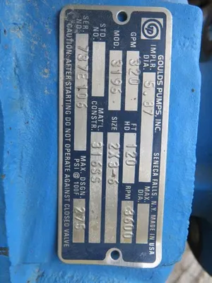 USED Goulds 3196 STX
