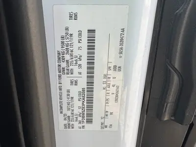 Used 2023 FORD TRANSIT Reefer Trucks Florida US | Truck and Van Outlet #1509167