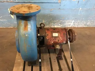 Goulds 3196 XLT  8x10x13  SS