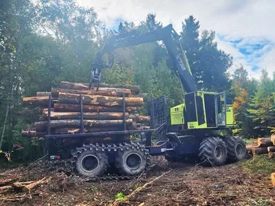 2016 TIMBERPRO TF830C FORWARDER | Iron Listing (1)