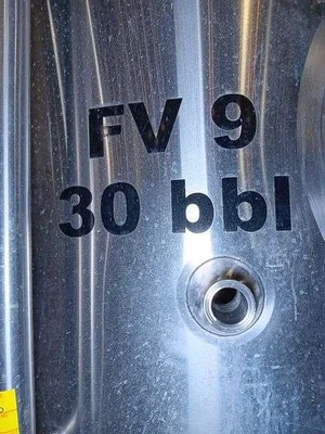 Premier Stainless 30 BBL (930 Gallon) Unitank Fermenter | Insulated & Glycol Jacketed