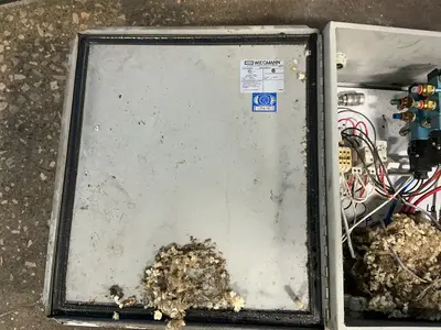 Used HUBBELL WIEGMANN B161408CH Electrical Boxes Ohio US | HGR 24 #1312178