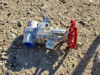 3/4" Class 800 Gate Valve B16.34