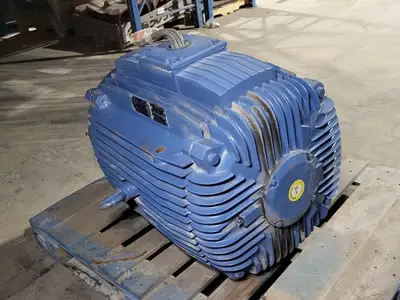 NEW WEG W21