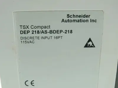 Schneider Automation DEP 218/AS-BDEP-218 Discrete Input 16PT 115VAC Lot of 6