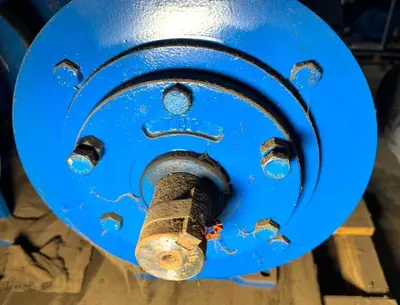 USED GOULD 3196