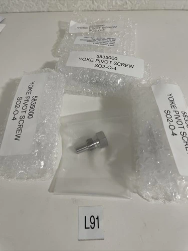 NEW Silicon Valley 104000