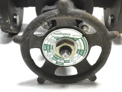 New Flowserve Vogt 373  Size: 3/4″ 600 Gate Valve API602/B16.34
