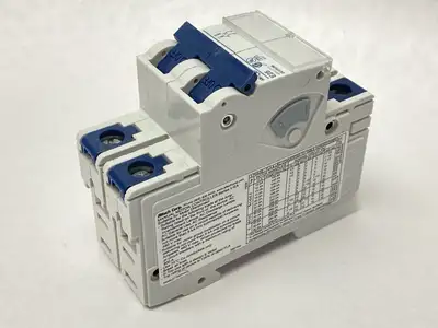New | in-Stock Altech Corp Thermal-Magnetic Circuit Breaker 2-Pole 25A 480Y/277VAC 80VDC Circuit Breakers Michigan US | Maverick Industrial Sales #1389183