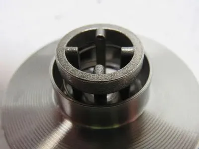 Check-All SV804 Flange Insert Check Valve 1" SS For Chlorine Service