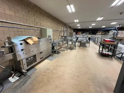 USED 2020 SKA FHA3000 DEPALLETIZER REPALLETIZER