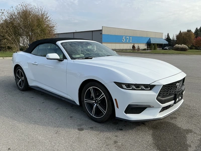 Used 2024 FORD MUSTANG Cars Michigan US | Miedema Asset Management Group #1579884
