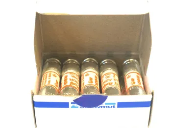 10 NEW FERRAZ SHAWMUT A2K-30R FUSES A2K30R