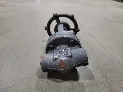 1/2" Class 800 Gate Valve B16.34