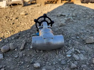 3/4" Class 800 Gate Valve API 602