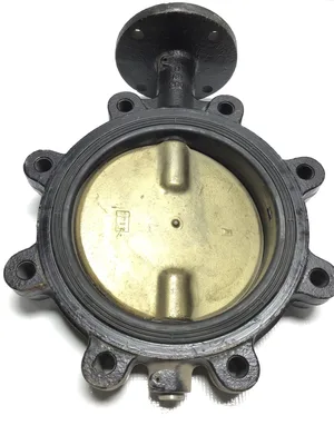 38032-UA-C91 8″ Butterfly Valve