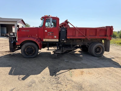 Used 1994 WESTERN STAR 4800 4842F 4X2 Dump trucks Michigan US | Miedema Asset Management Group #1340397