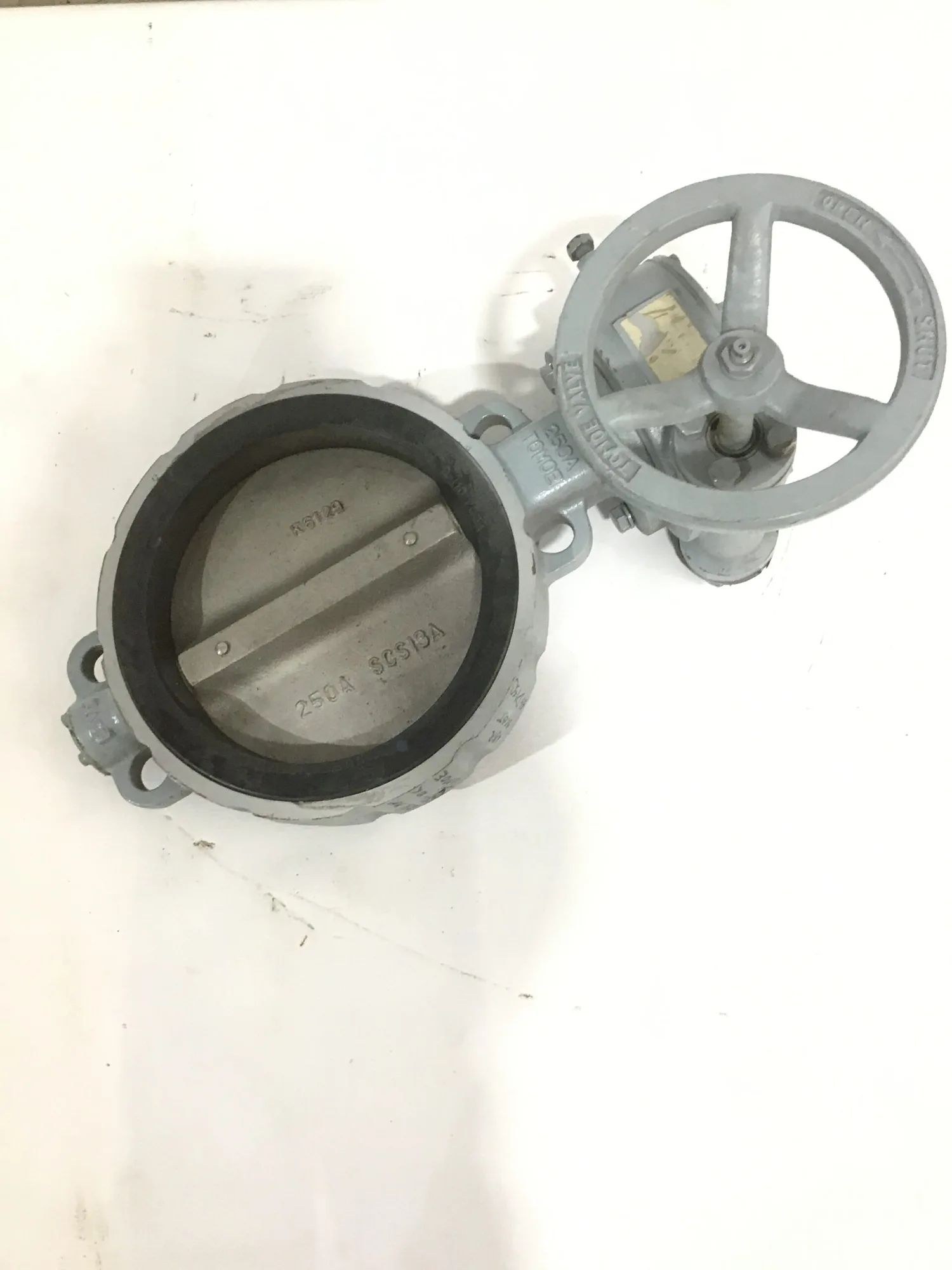 Tomoe K6129/250A/SCS13A 10″ Semi Lugged Butterfly Valve