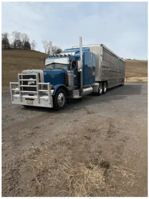 Used PETERBILT 379 Conventional trucks Pennsylvania US | Trustworthy Equipment #1403448