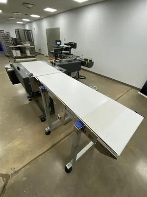 TLC Dynamic 400 Horizontal Flow Wrapper with Auto Feed (unused)