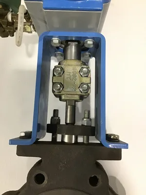 Jamesbury C/VPVL250 DA BC Pneumatic Actuator Valve