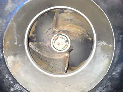 USED Goulds 3175