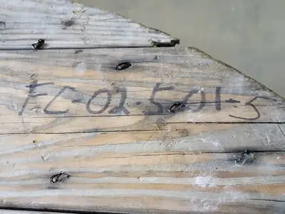 NEW 2001 CORNING 144R31-T3131-24