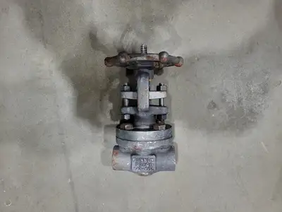 1/2" Class 800 Gate Valve B16.34