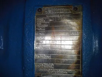 USED Goulds 3175