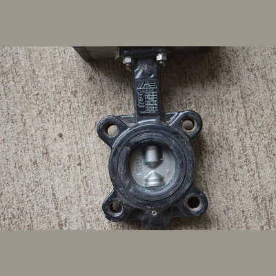 Mas 2 in. Butterfly Valves