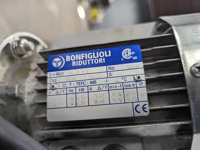 Fairview Packing Conveyor