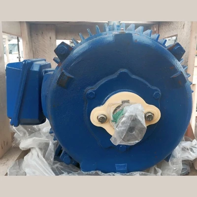 VP 25 hp Electric Motor