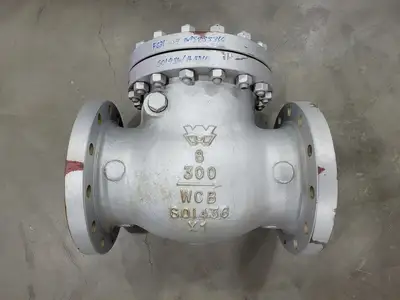 8" Class 300 Check Valve API 594