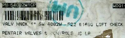 NEW PENTAIR 4082W-F22 CHECK VALVE 1" 54082W1CP 1690 4082WF22