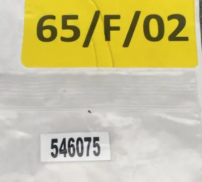 New | in-Stock Brady 170175 Safety Products (Other) California US | Davliegogo LLC #1707986