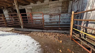 VARIETY GATES gates | Iron Listing (13)