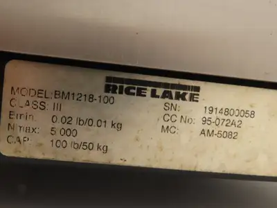 Used RICE LAKE _UNKNOWN_ Scales Indiana US | Arrow Industrial #1367468