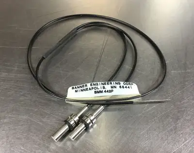 Used BANNER ENGINEERING 20205 PLC Processors | Palmetto Automation #1149991