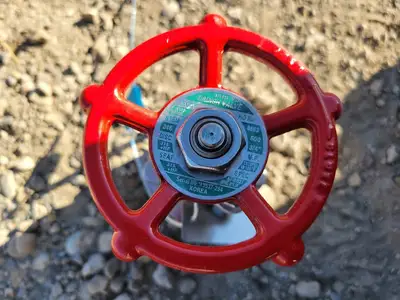 3/4" Class 800 Gate Valve B16.34