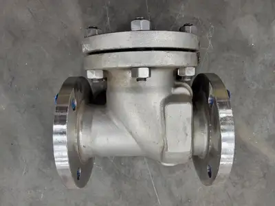 3", Class 150, Check Valve, B16.34